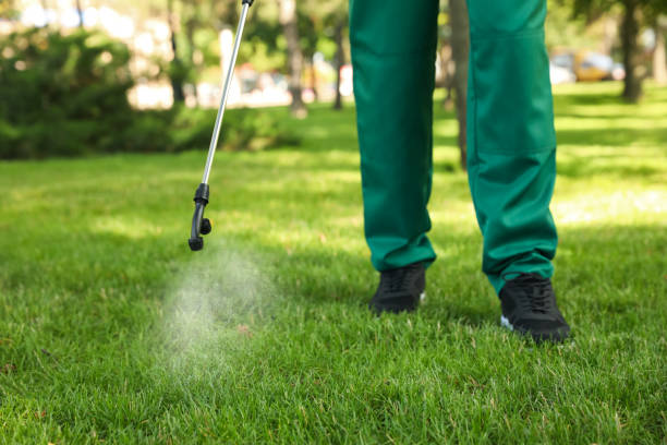 Best Emergency Pest Control  in Coal City, IL