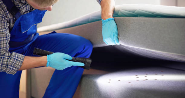 Best Affordable Pest Control Services  in Coal City, IL