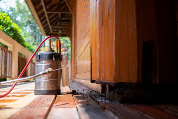 Pest Control for Restaurants in Coal City, IL