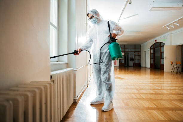 Best Wasp Removal Services  in Coal City, IL